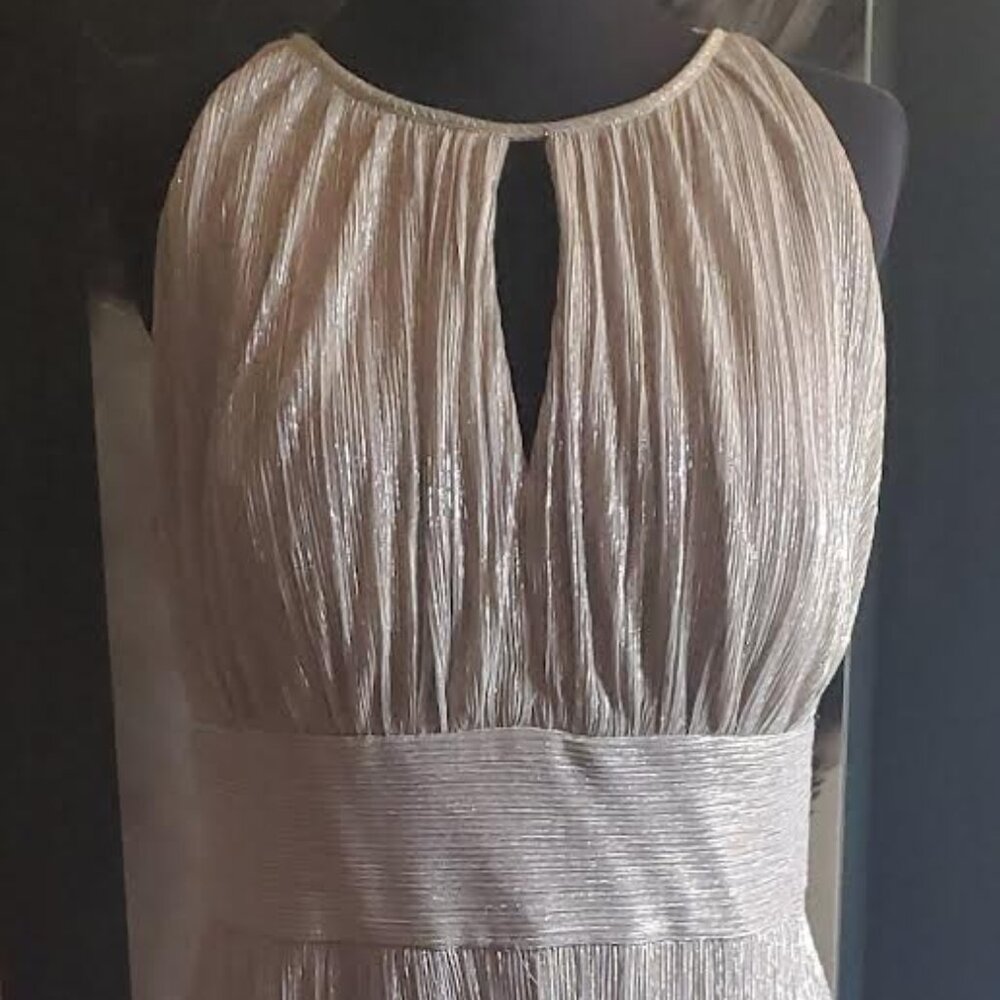 R&M Richards formal gown